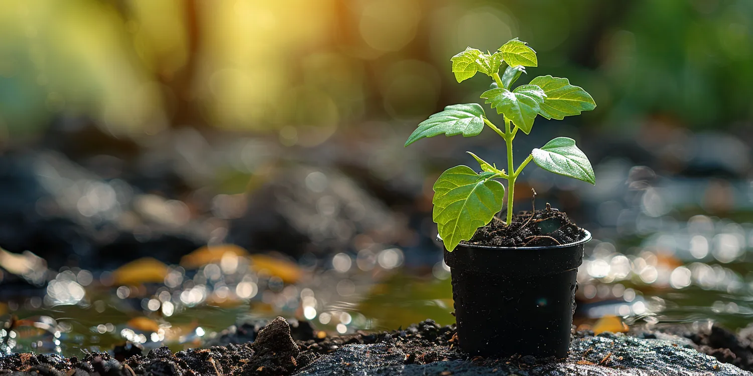 jak-przygotowac-ogrod-warzywny-na-zime-1