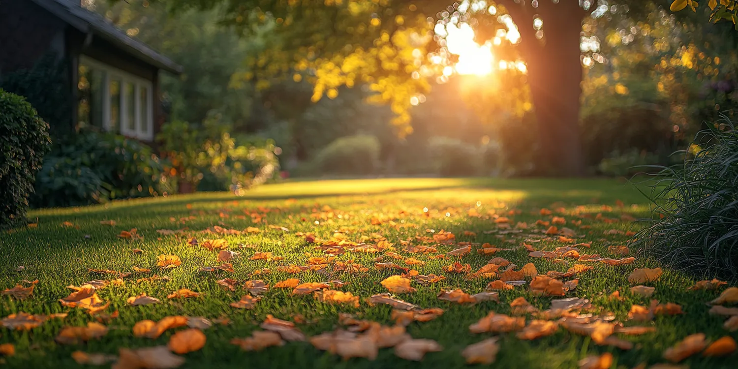 Jak zagospodarować ogród?