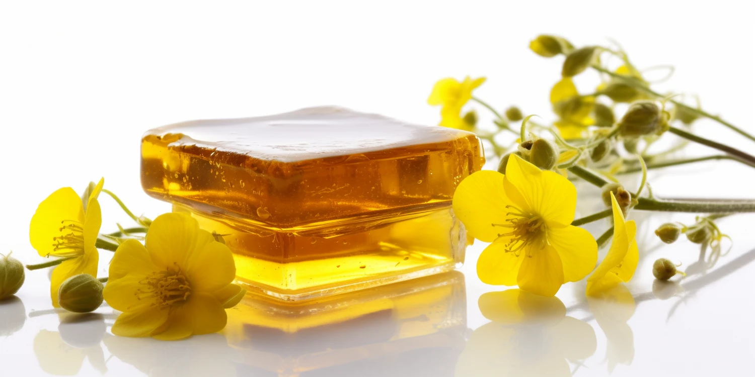 Miód i inne produkty pszczele