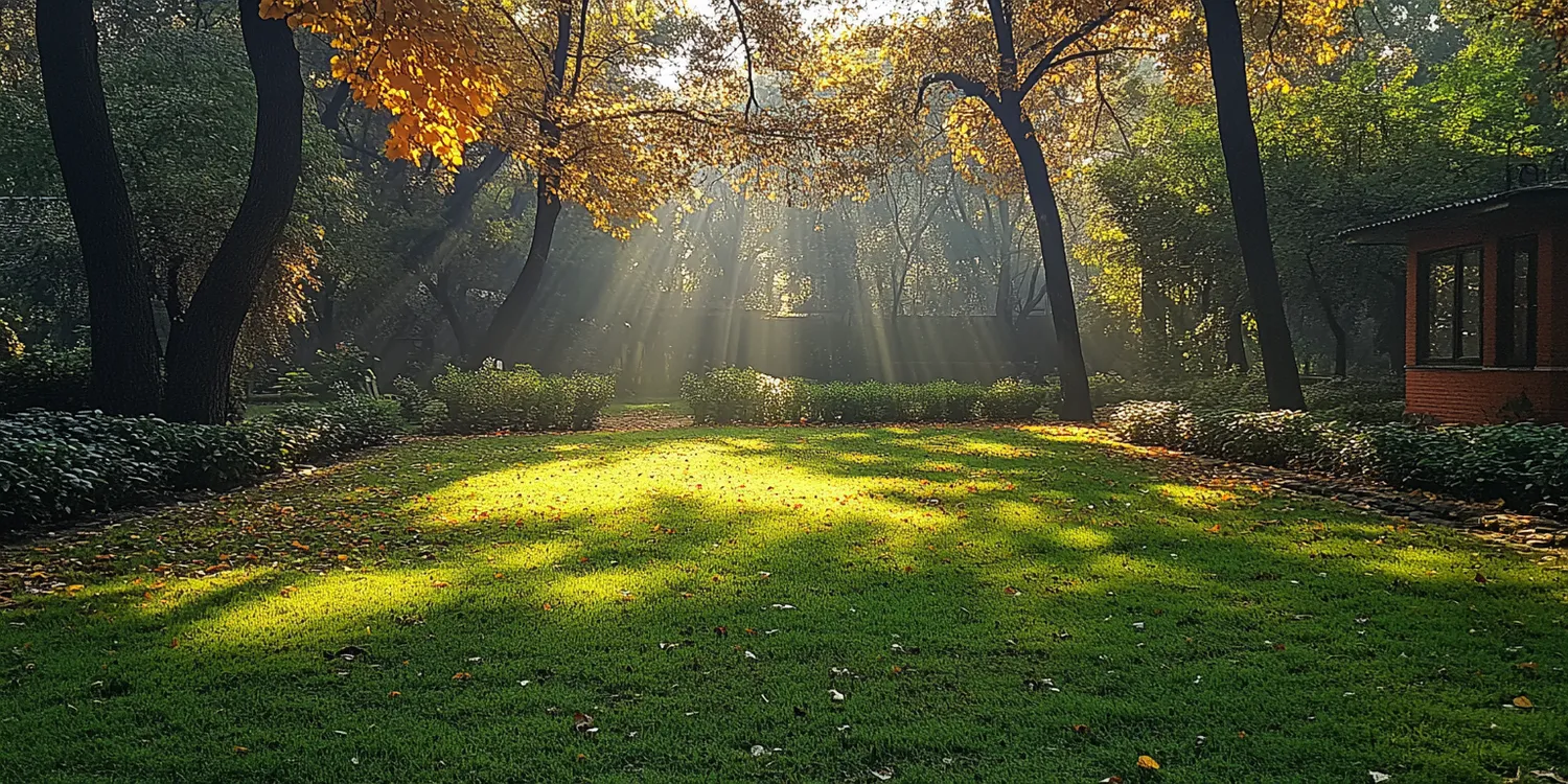 trawa-z-rolki-kiedy-nawozic-1