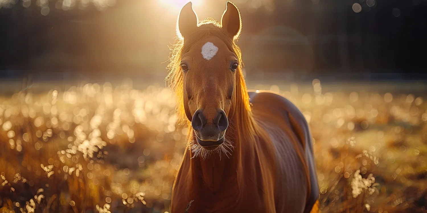 Ile kosztuje trawa z rolki cena?