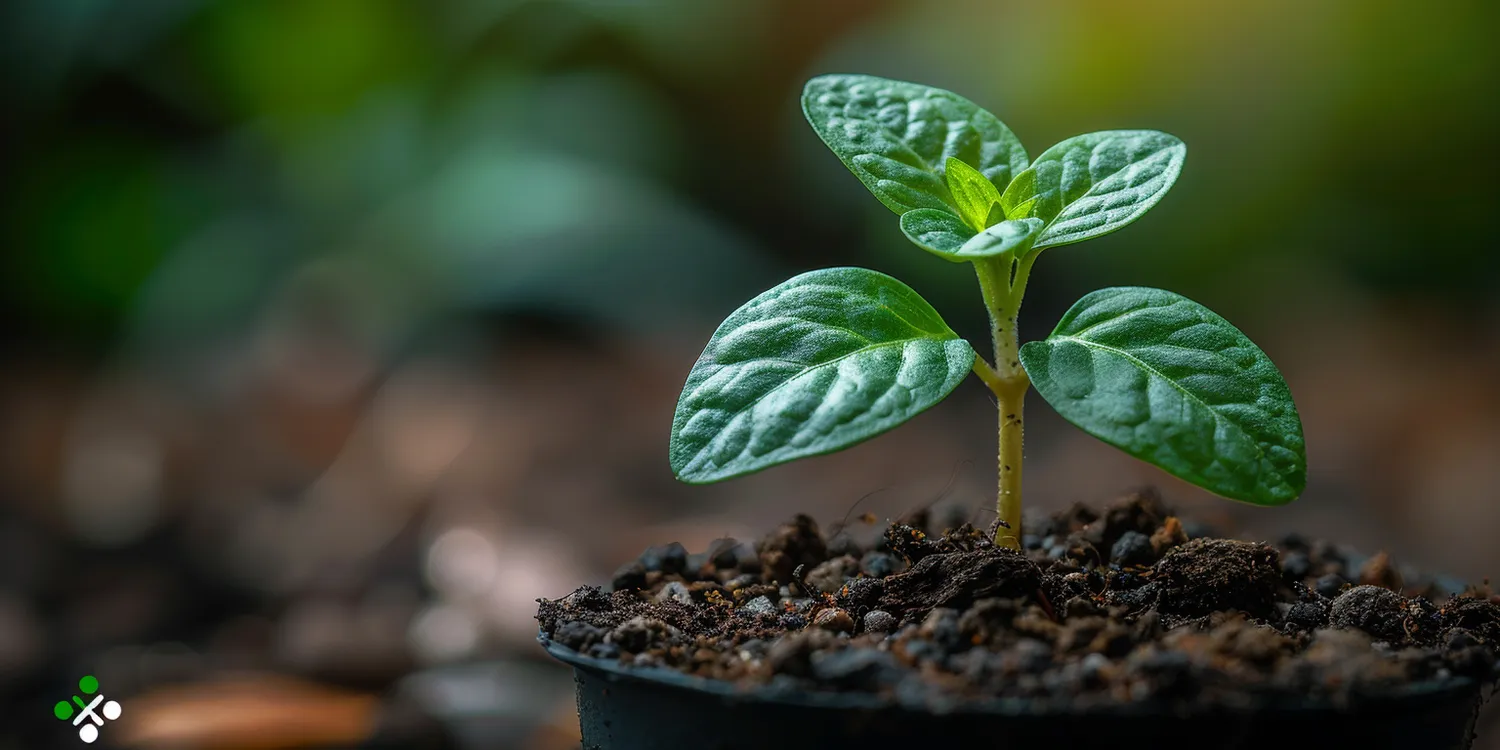 ogrod-zimowy-jak-zrobic-samemu-1