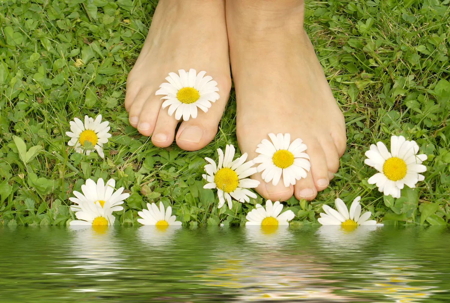  Podologia nauką o stopach