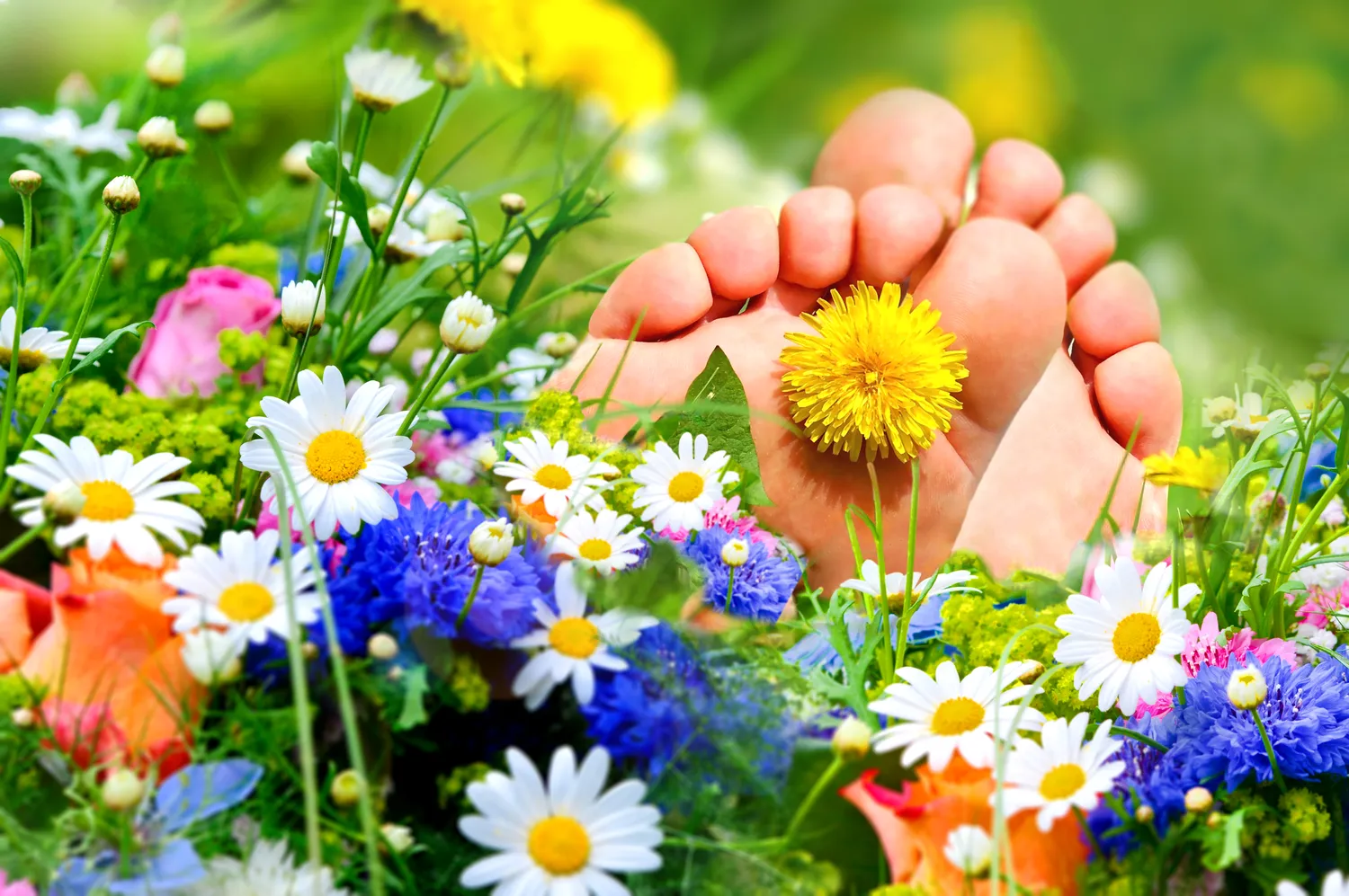 zadbaj-o-swoje-stopy-juz-dzis-podologia-na-ratunek-f